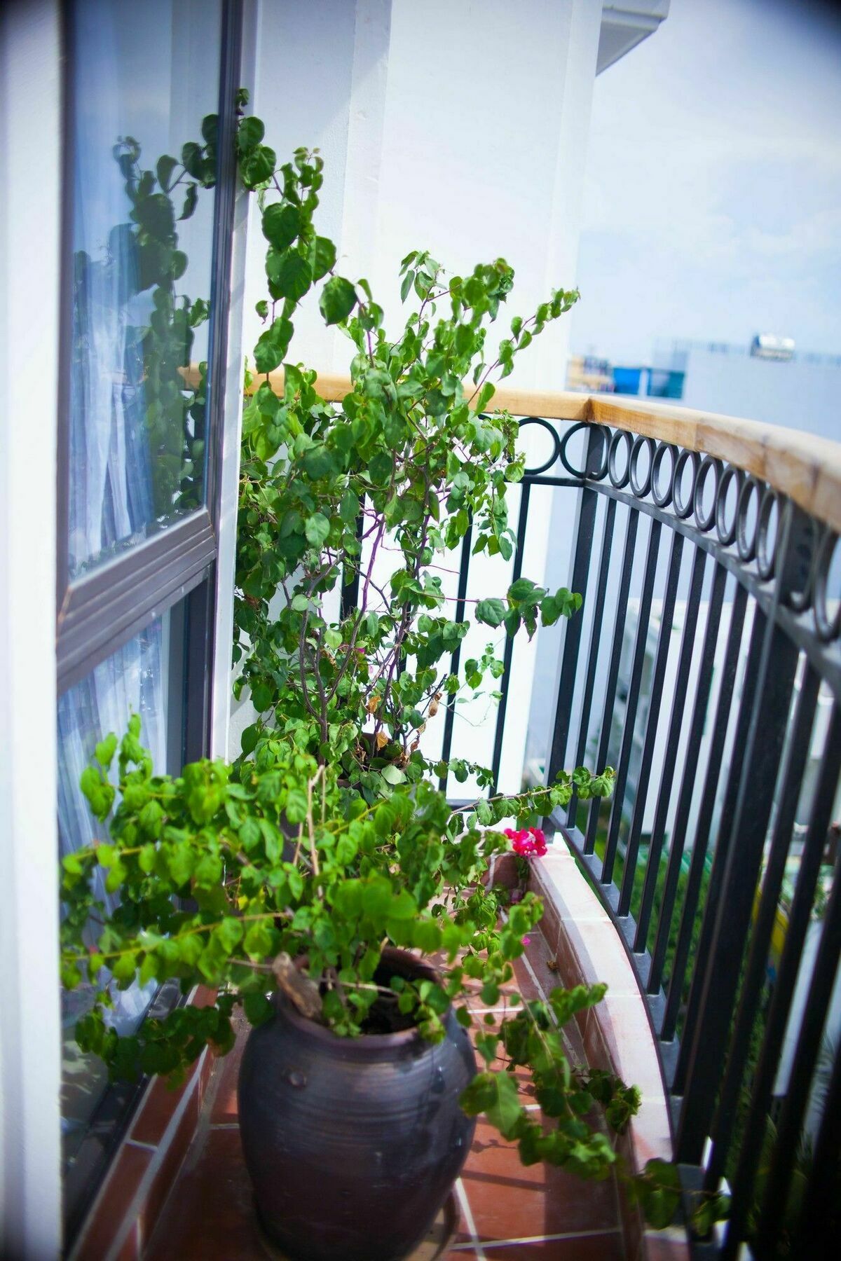 Eco Green Boutique Hotel Da Nang Bagian luar foto